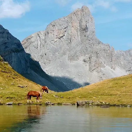 Entier Dans Un Ecrin De Verdure