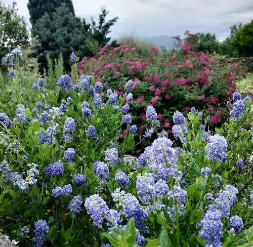 Apartament Belle Bearnaise Bidos